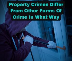 Property Crimes Differ From Other Forms Of Crime In What Way